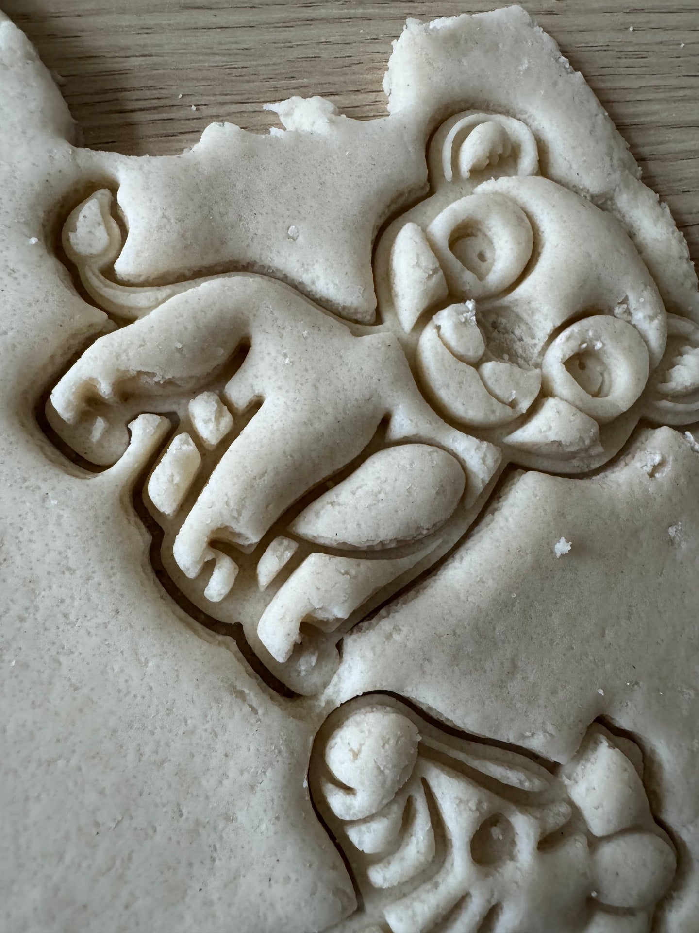 leeuwin voorbeeld