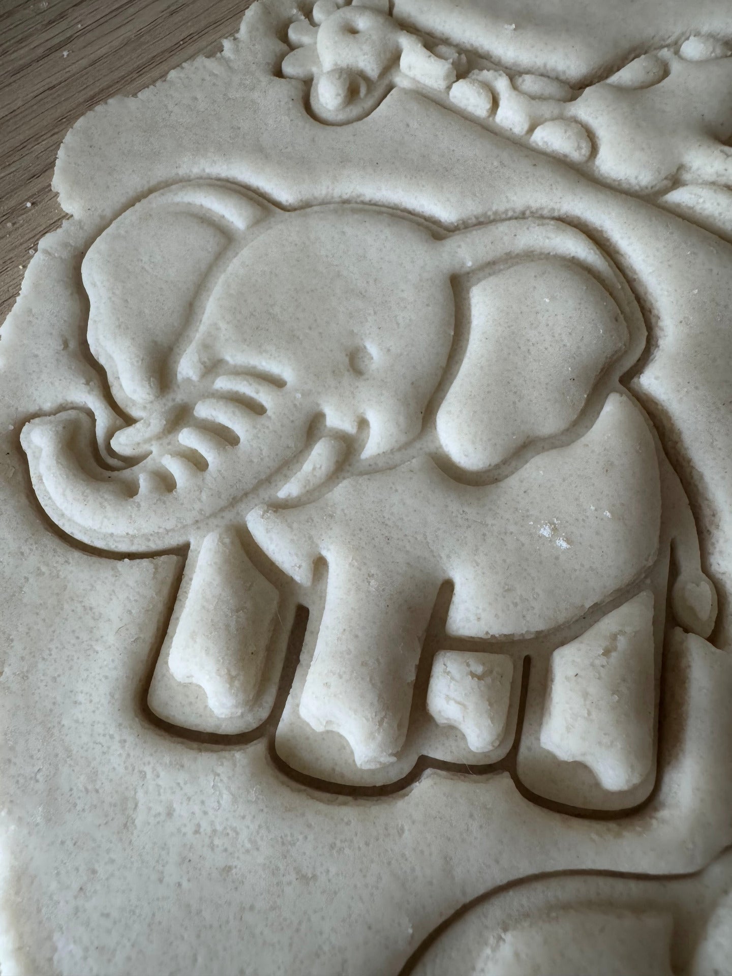 olifant voorbeeld