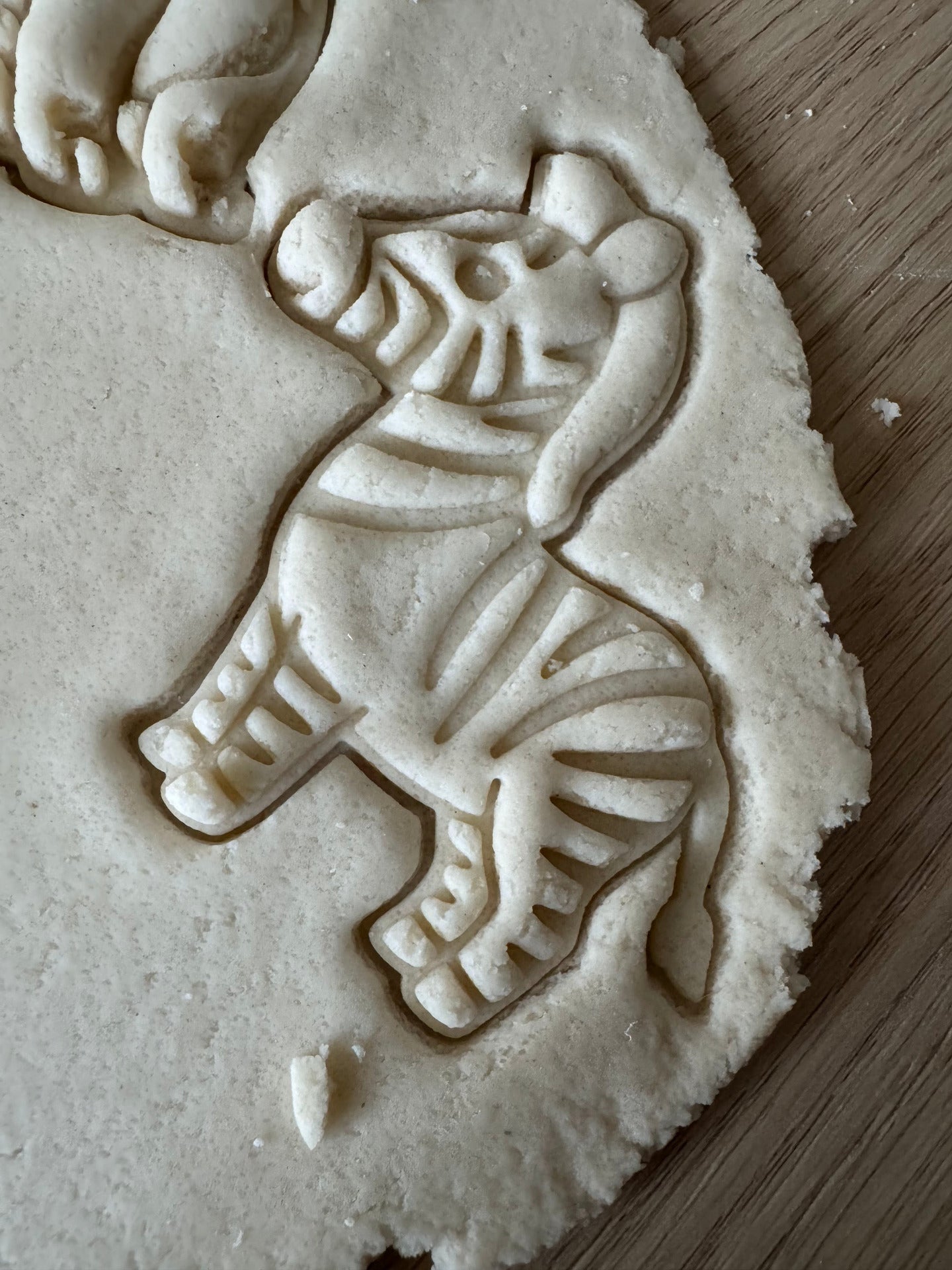 zebra voorbeeld